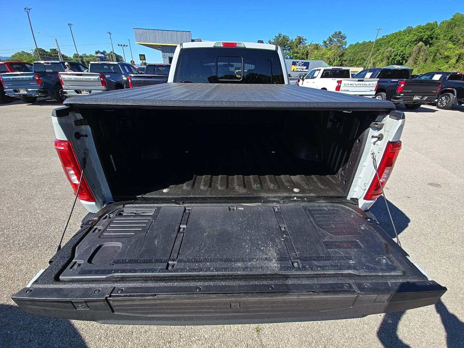 FORD F-150 - 10