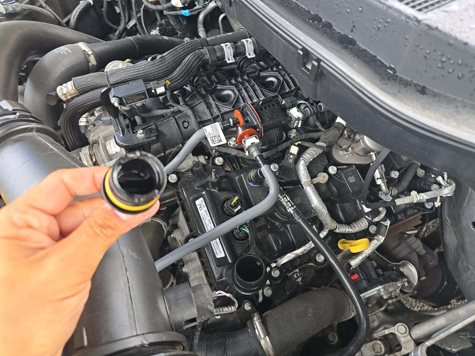 2024 Ford F-150 XLT AWD