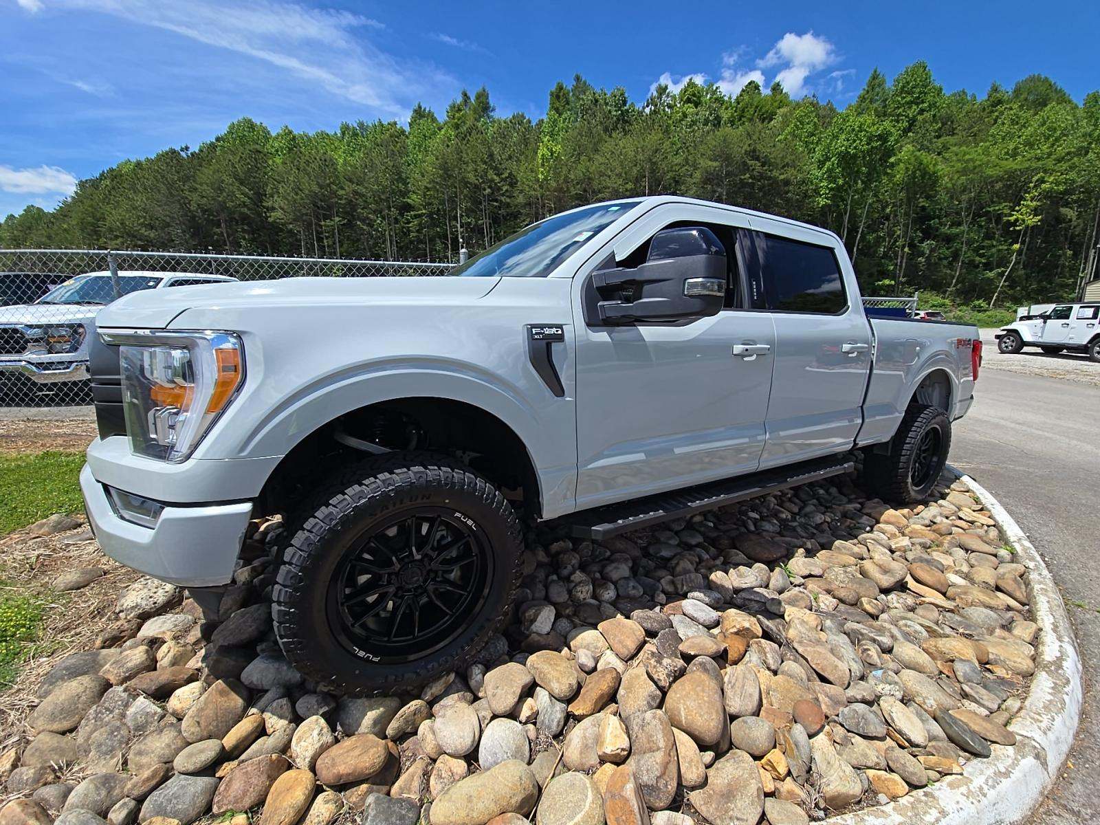 FORD F-150 - 1
