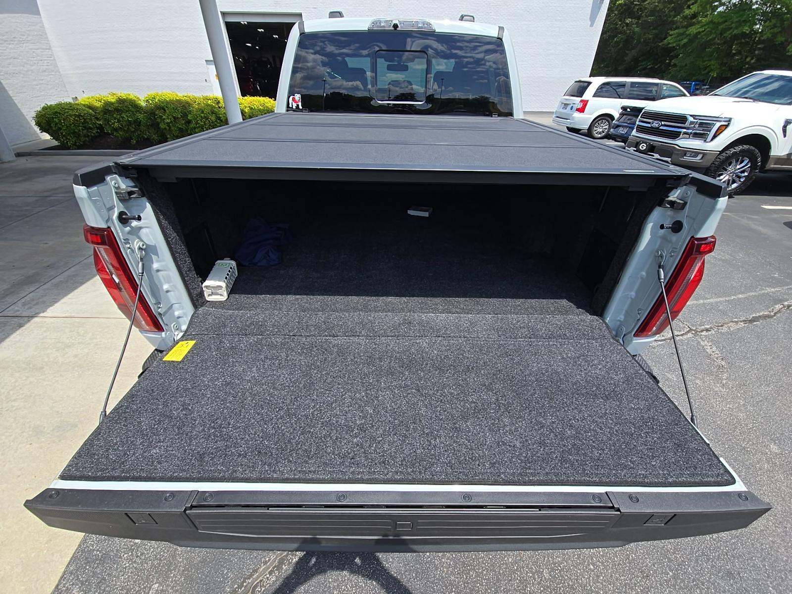 FORD F-150 - 10