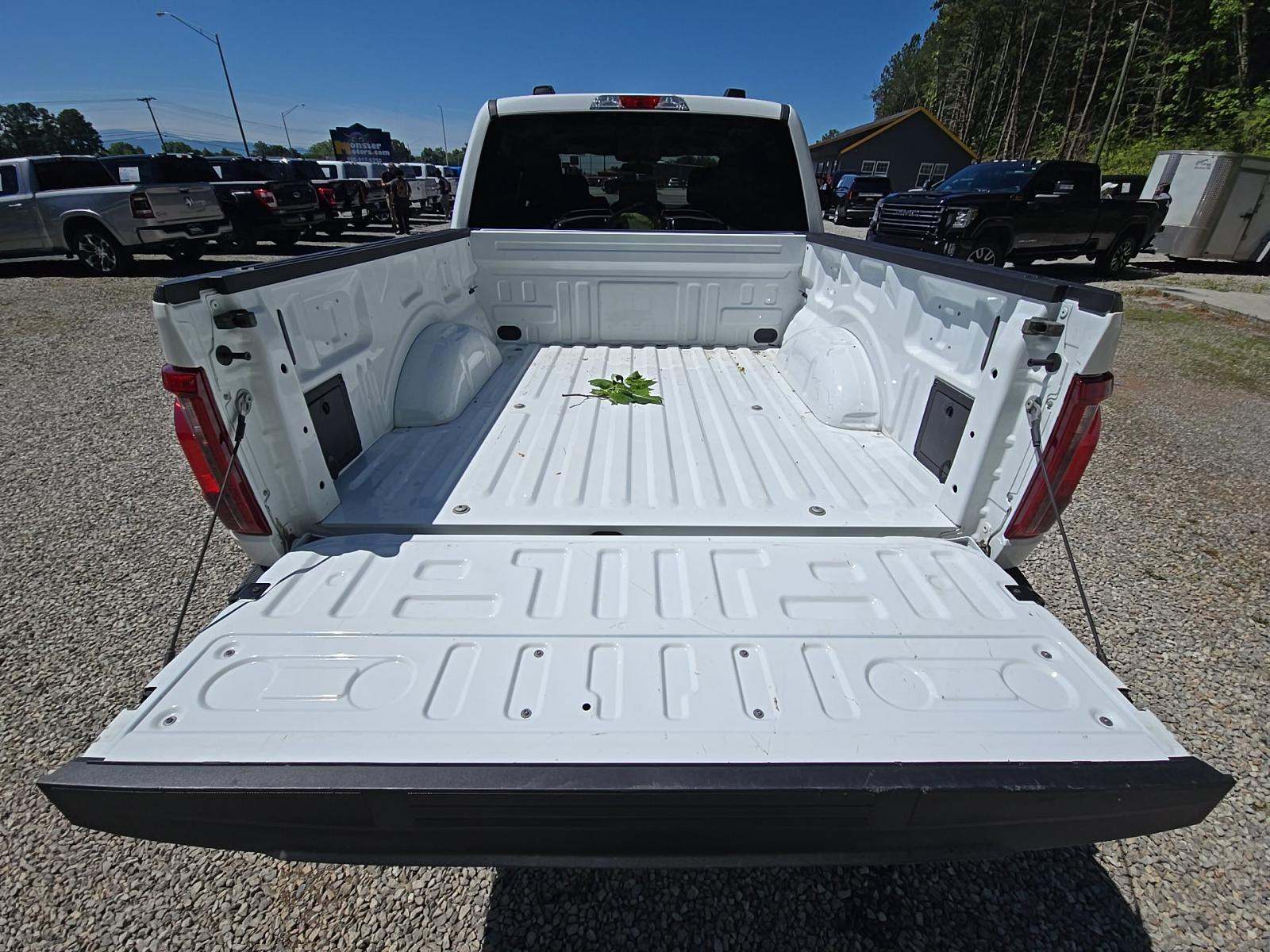 FORD F-150 - 10