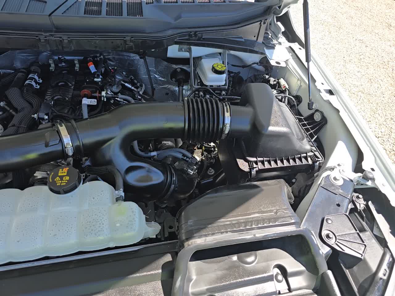 2025 Ford F-150 XLT AWD