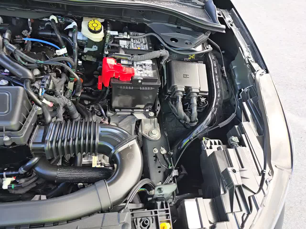 2025 Ford Escape ST-Line AWD