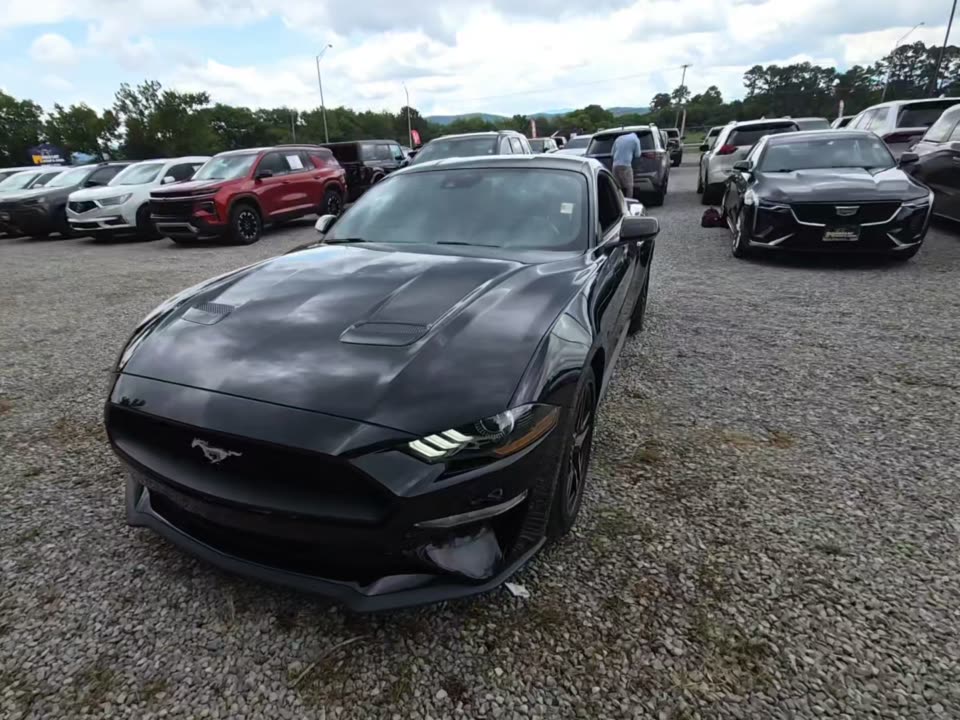 2023 Ford Mustang EcoBoost RWD