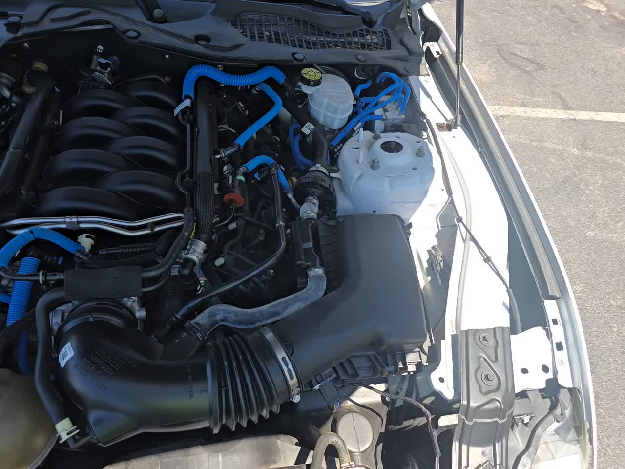2021 Ford Mustang GT Premium RWD