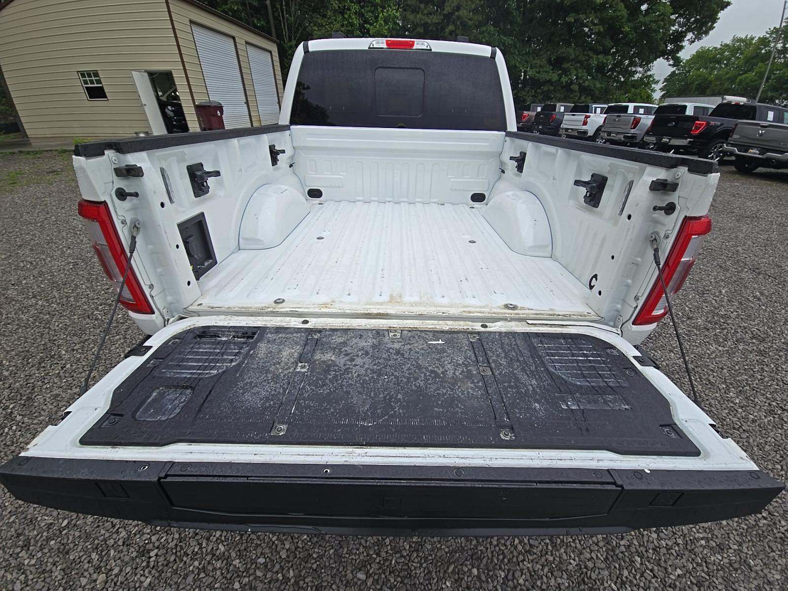 FORD F-150 - 10