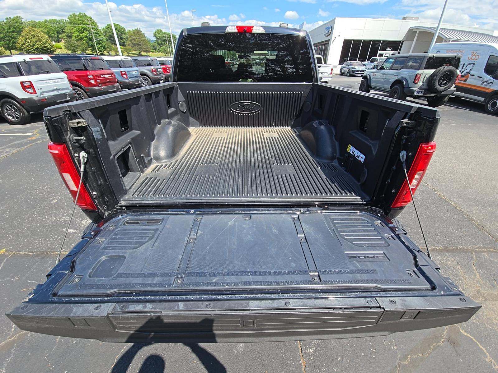 FORD F-150 - 10