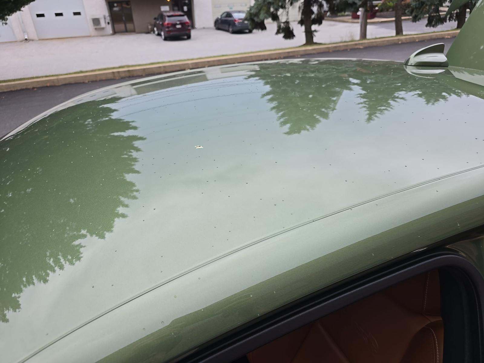 DODGE CHALLENGER - 8