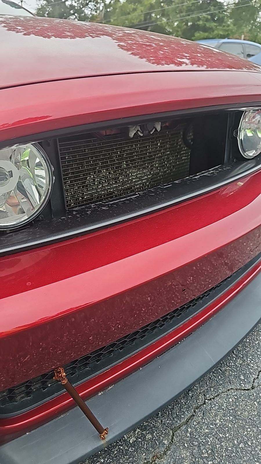 2014 Ford Mustang GT RWD