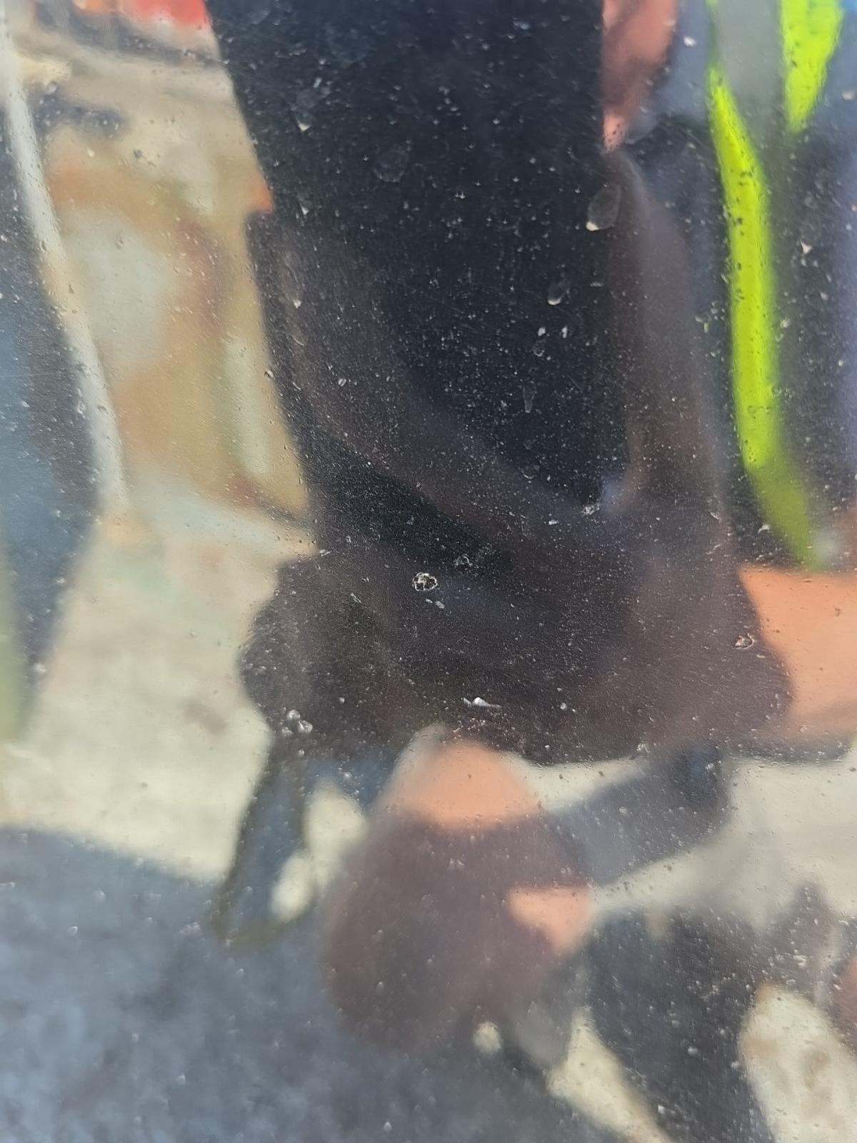 2023 BMW X1 xDrive28i AWD