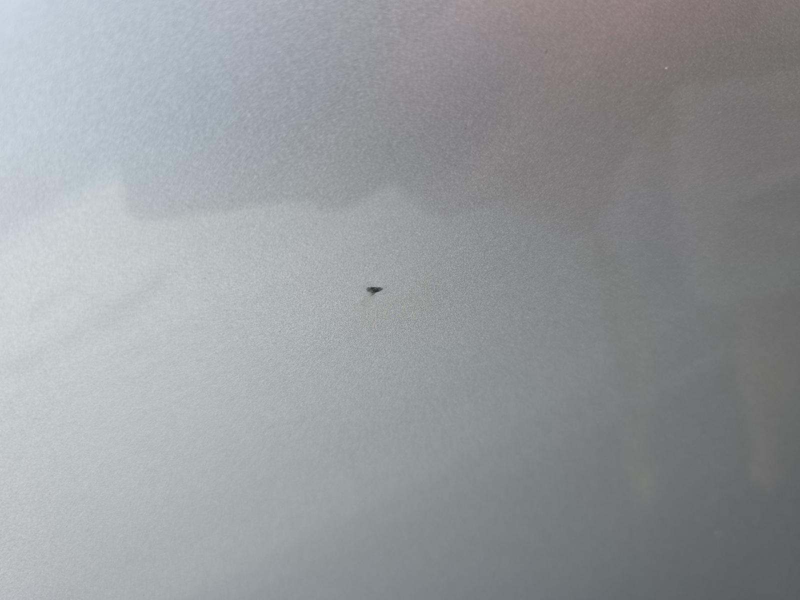 2019 Ford F-150 XLT AWD