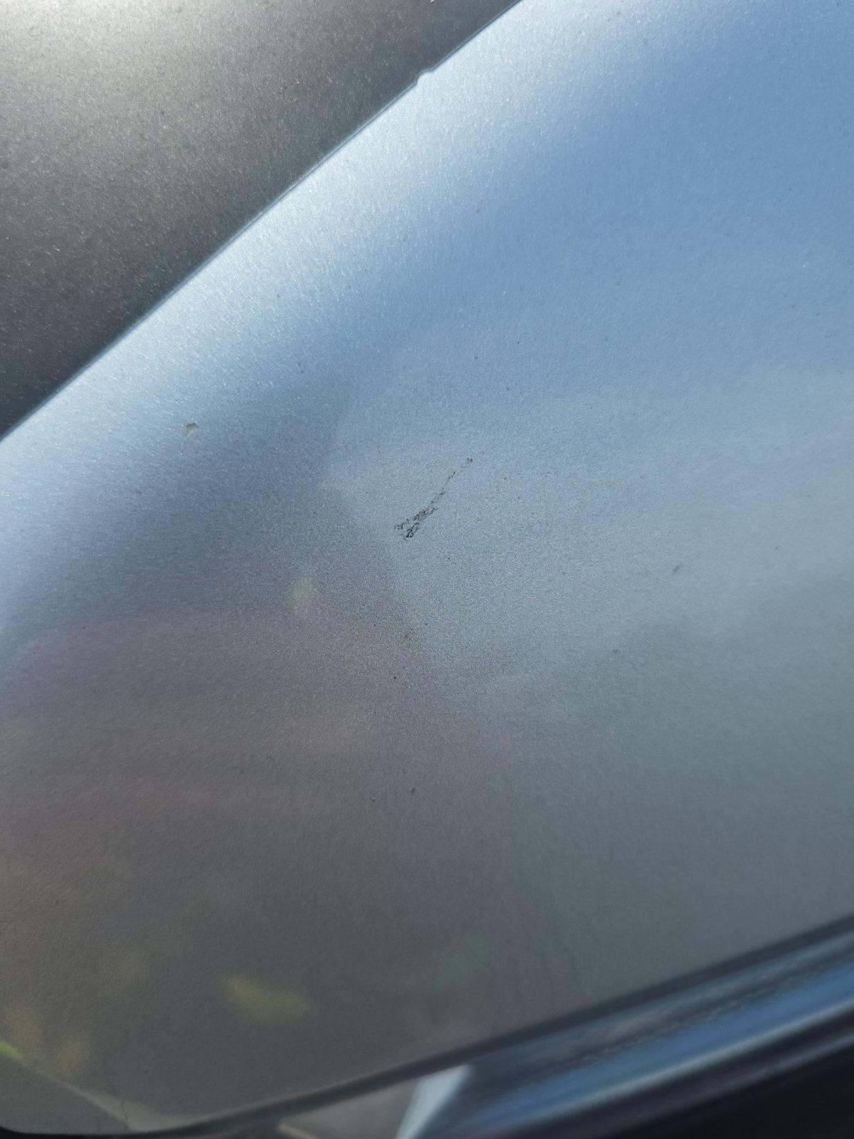 2019 Ford F-150 XLT AWD