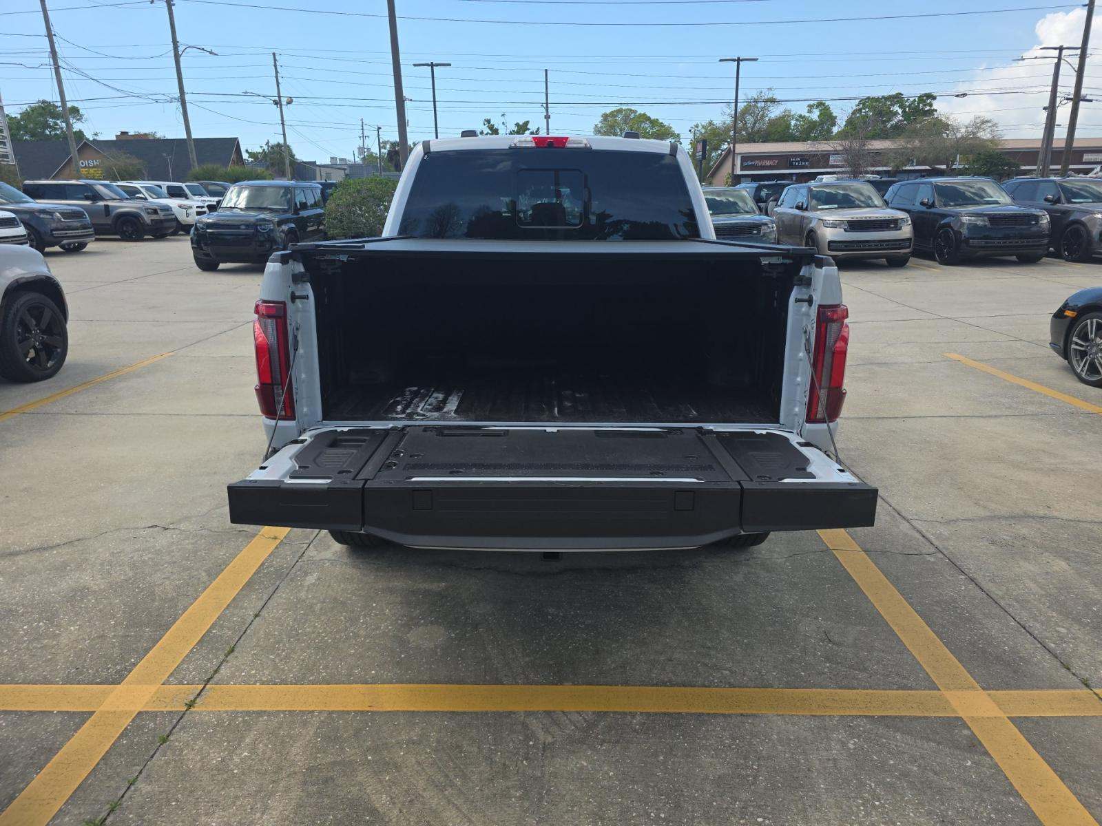 2025 Ford F-150 Platinum AWD