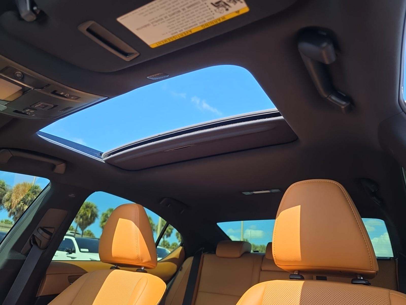 2025 Lexus IS IS 300 F SPORT Design RWD