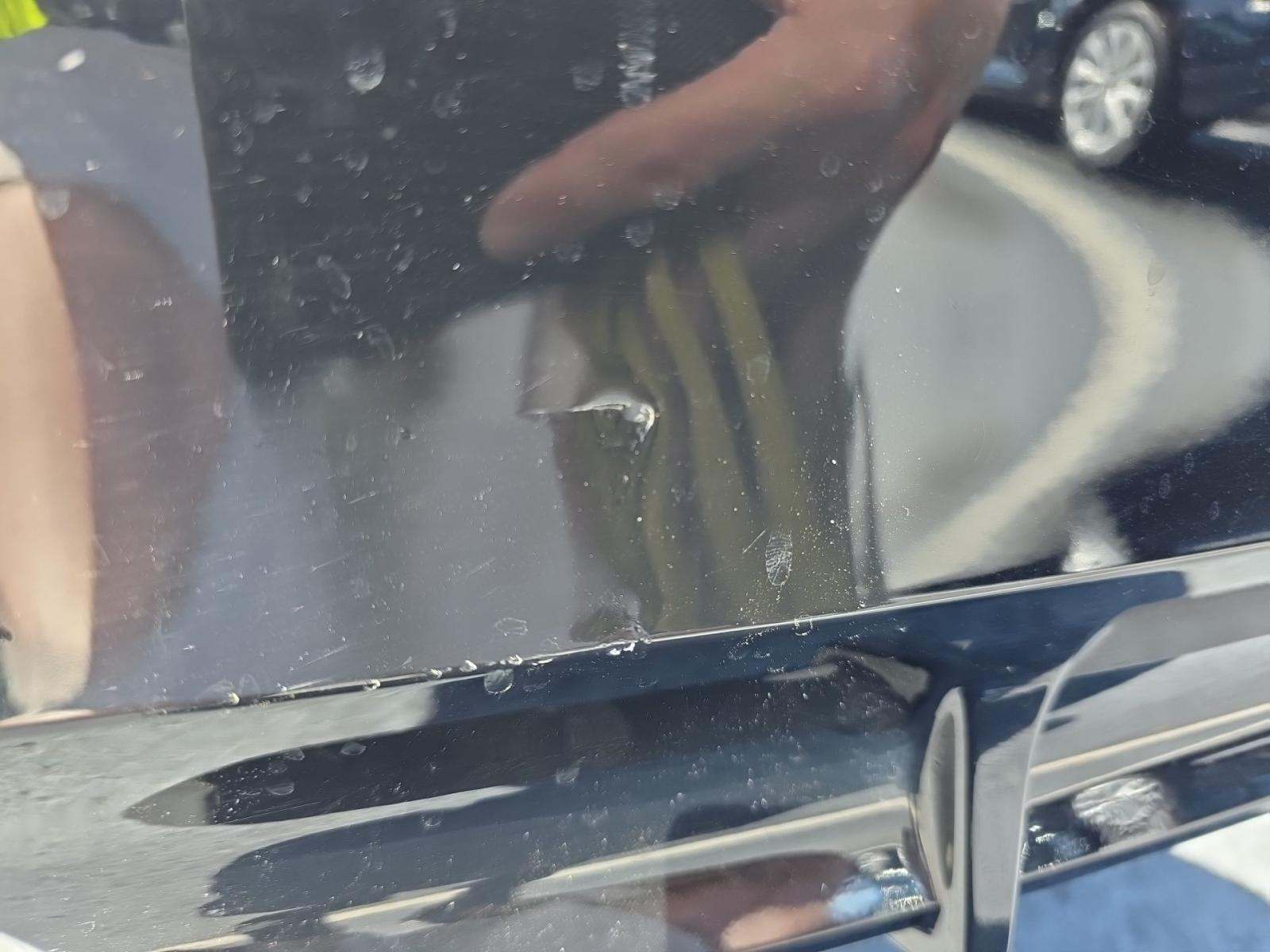 2023 Lexus IS IS 350 F SPORT RWD