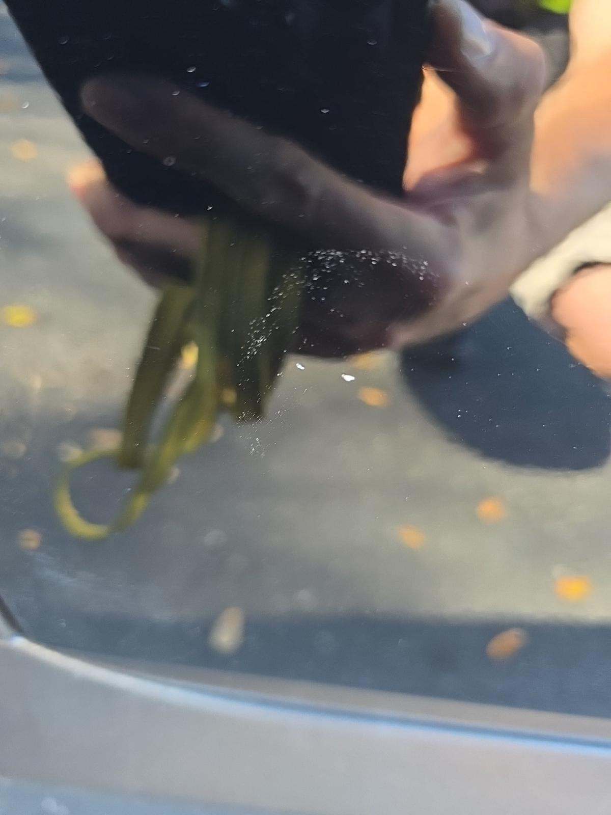 2021 Mercedes-Benz GLC GLC 300 RWD