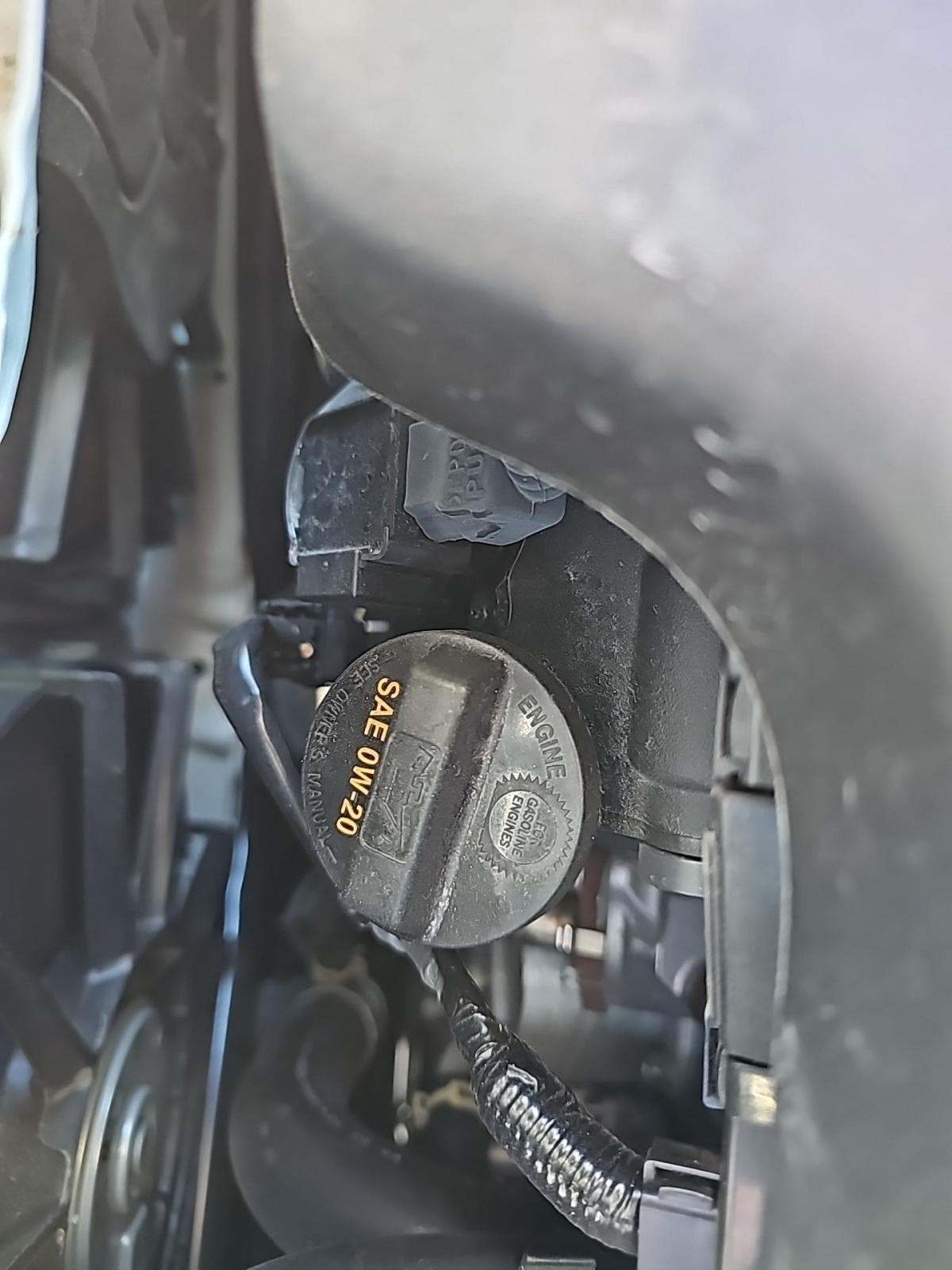 2025 Honda Odyssey Sport-L FWD