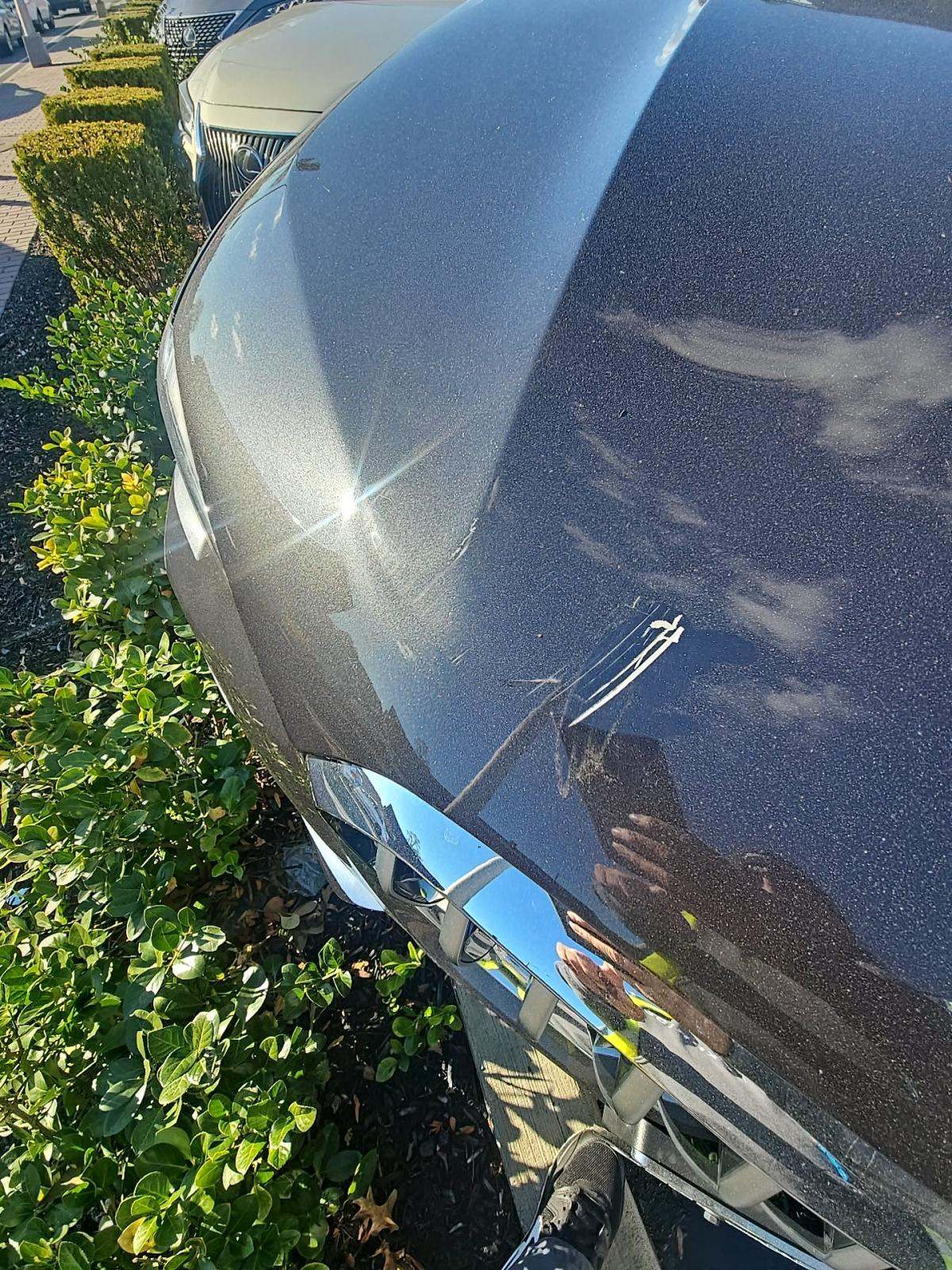 2023 BMW X5 xDrive40i AWD