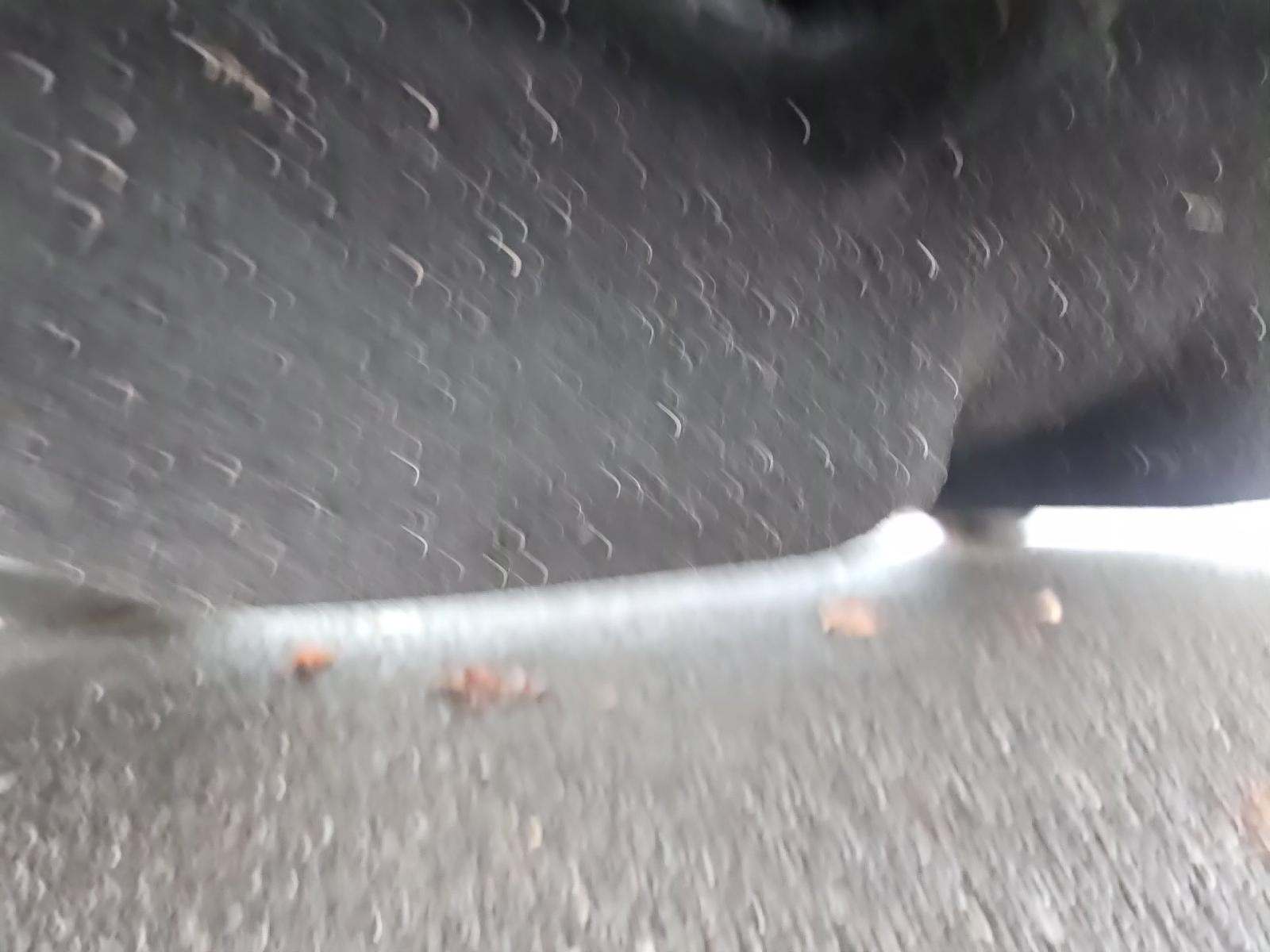 2022 Ford Explorer ST AWD