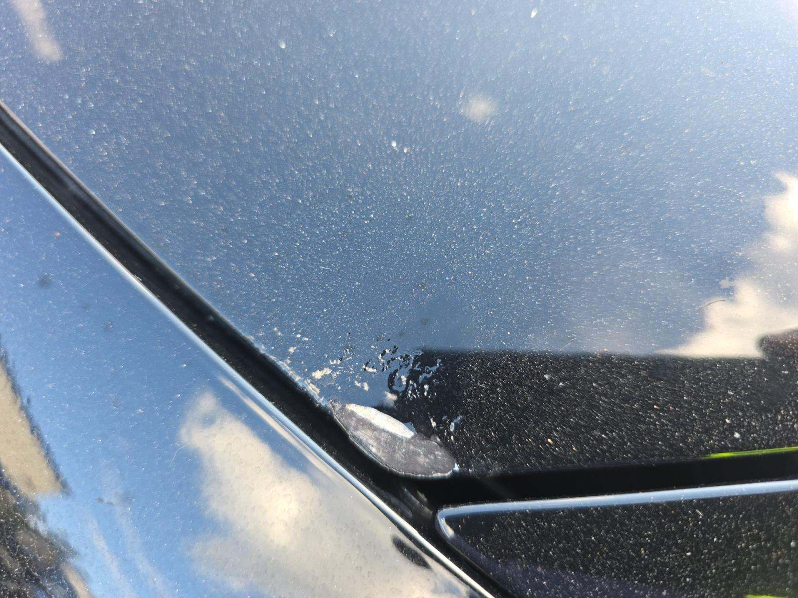 2023 Dodge Charger GT RWD