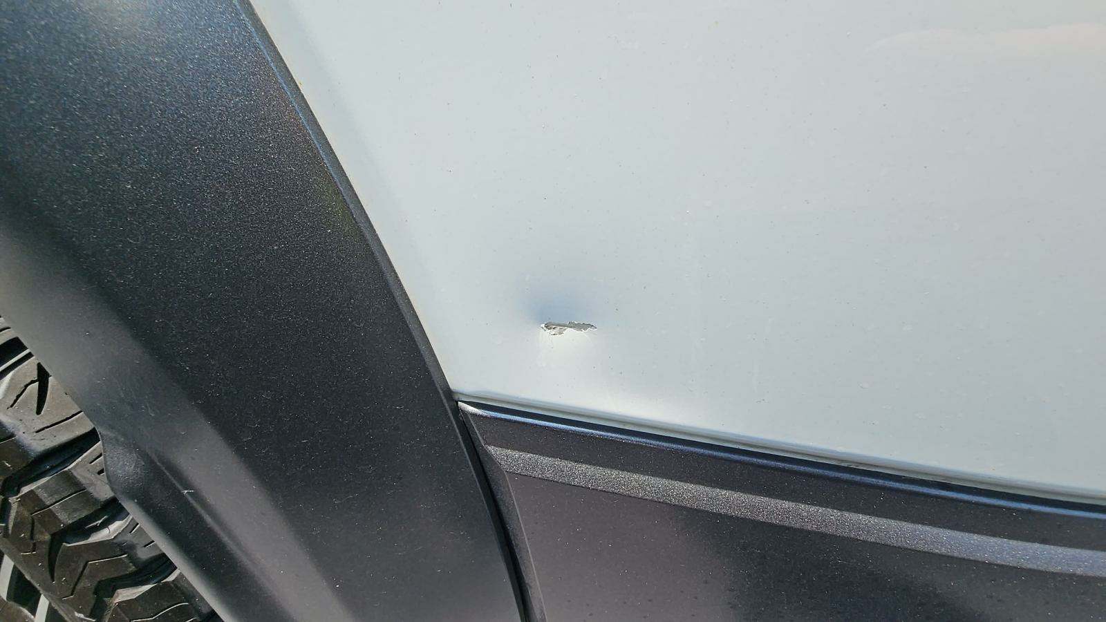 2019 Ford F-150 Raptor AWD