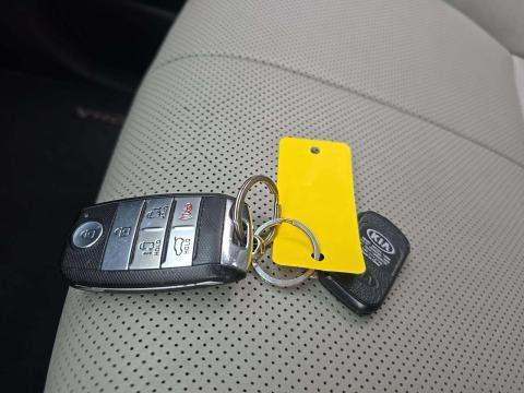 2016 Kia Sedona SXL FWD