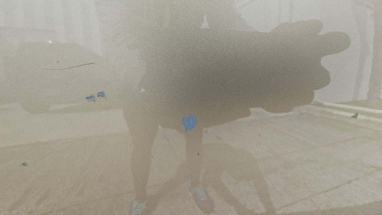 2011 Toyota Sienna LE FWD