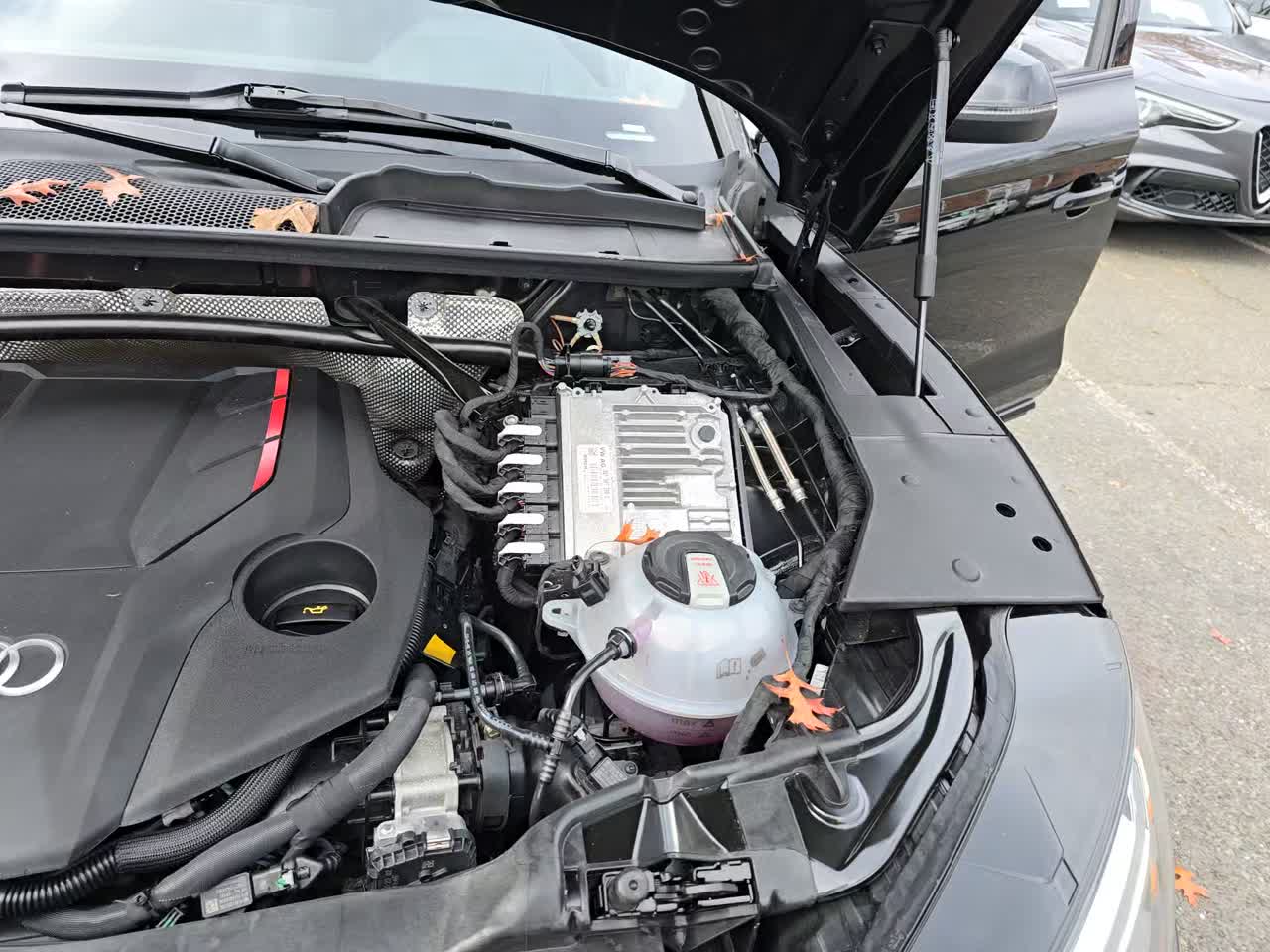 2024 Audi SQ5 Prestige AWD