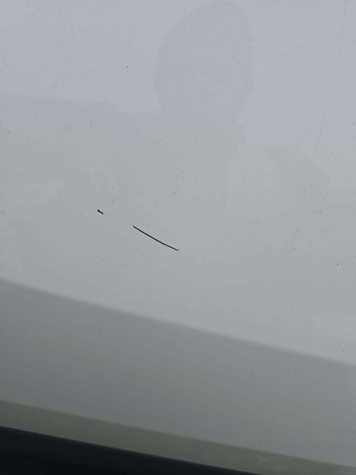 2019 Toyota RAV4 XLE Premium AWD