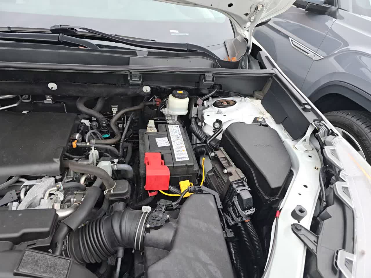 2019 Toyota RAV4 XLE Premium AWD