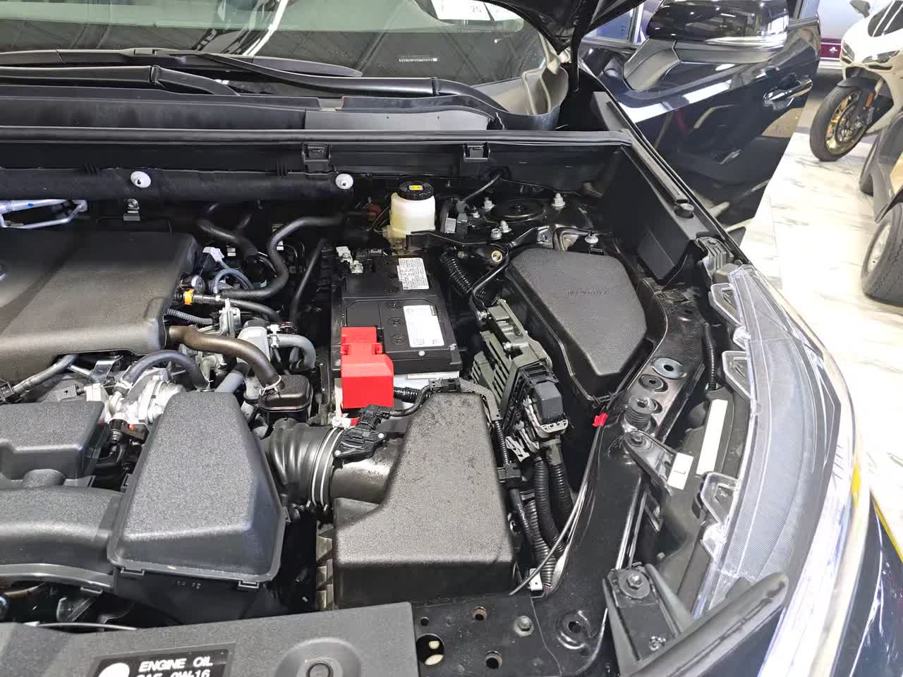 2025 Toyota RAV4 LE AWD