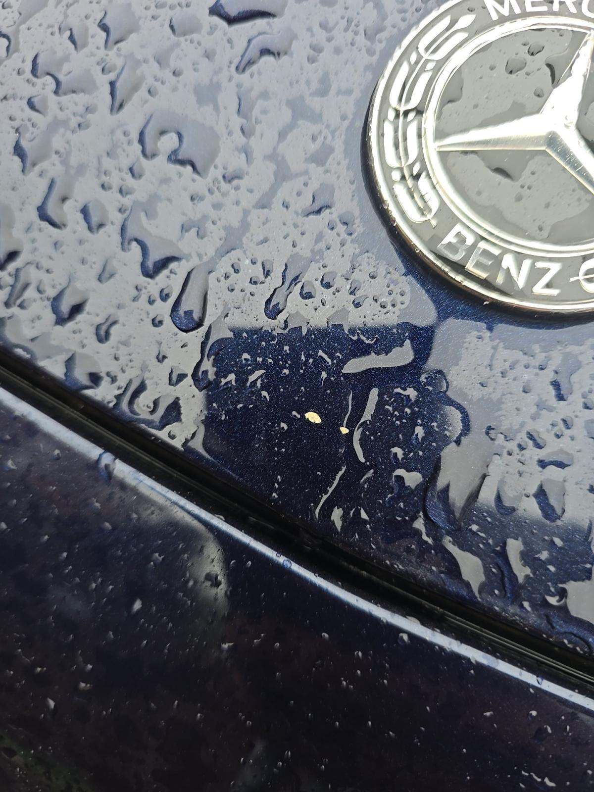 2019 Mercedes-Benz E-Class E 450 RWD