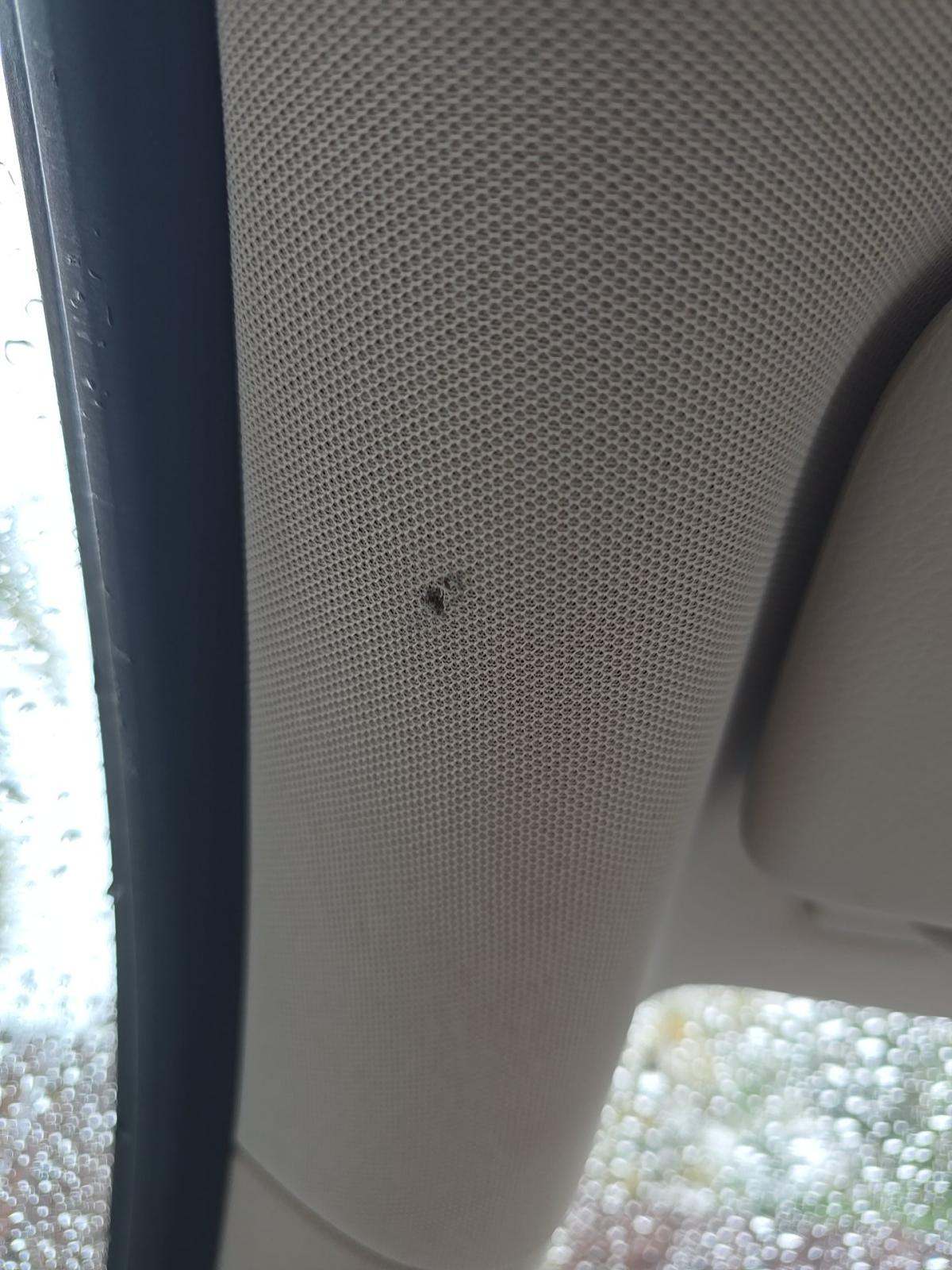 2019 Mercedes-Benz E-Class E 450 RWD