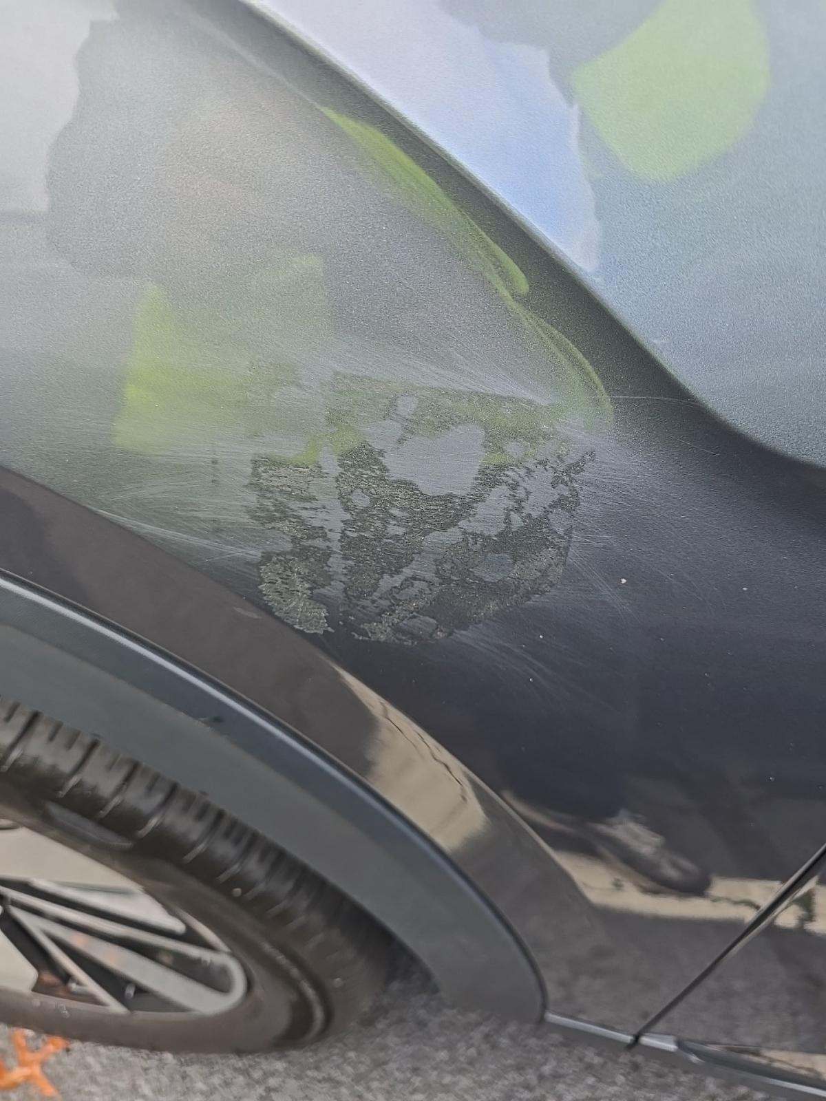 2024 Volkswagen Atlas 2.0T SE AWD