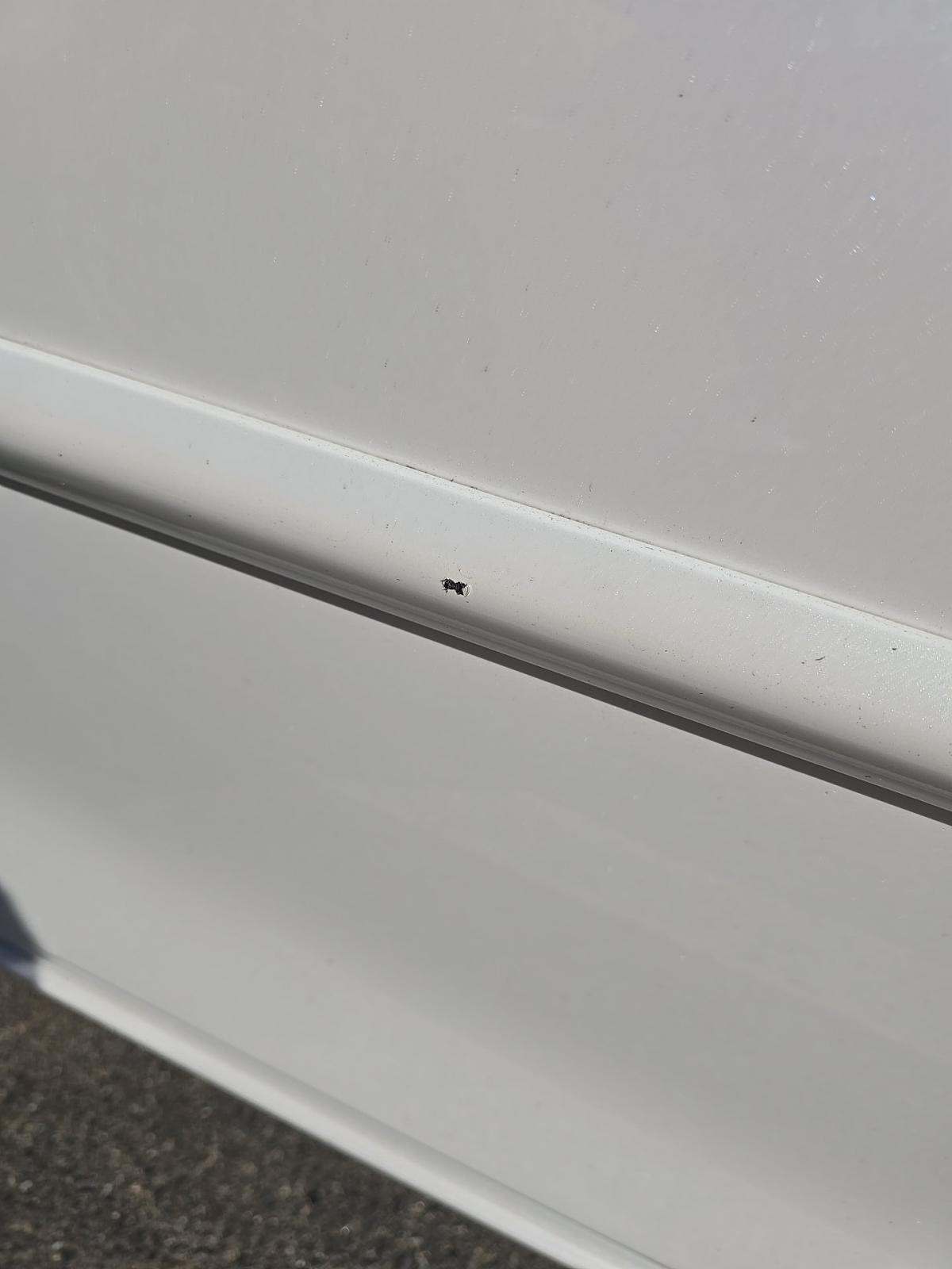 2023 Lexus ES ES 350 FWD