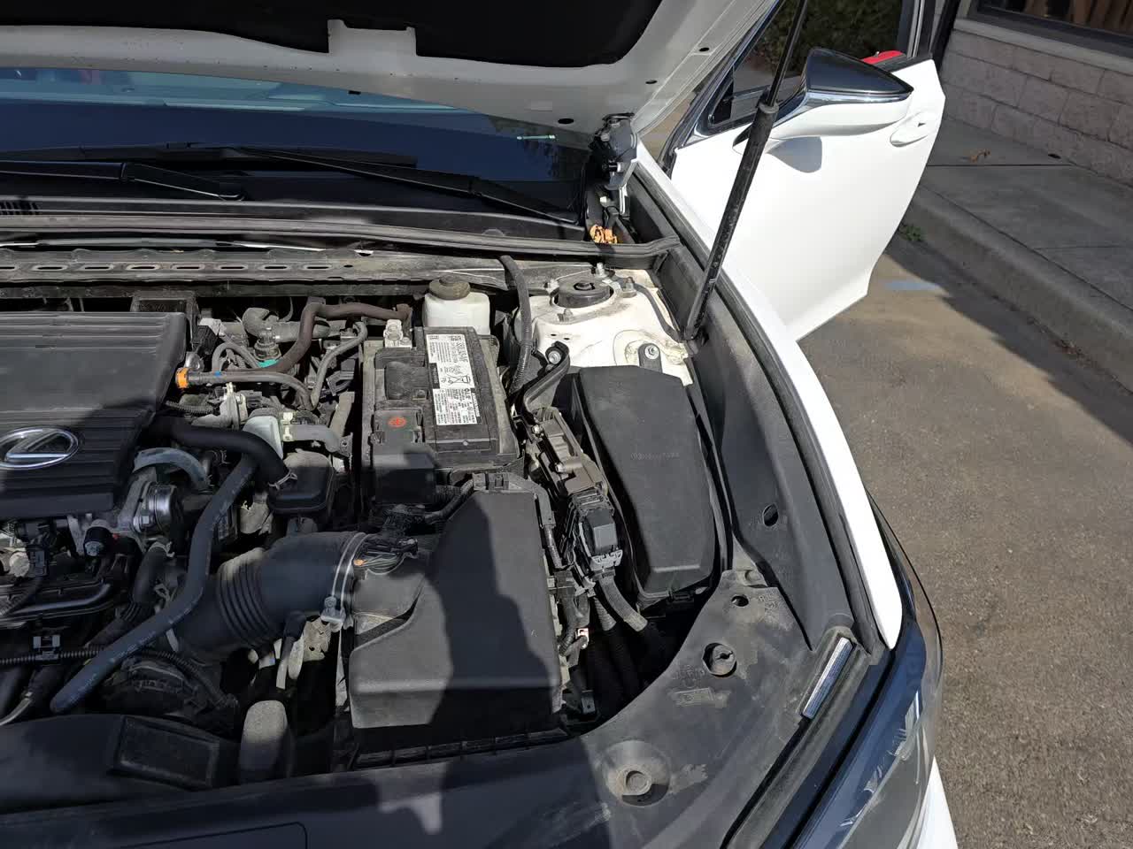 2022 Lexus ES ES 250 F SPORT AWD