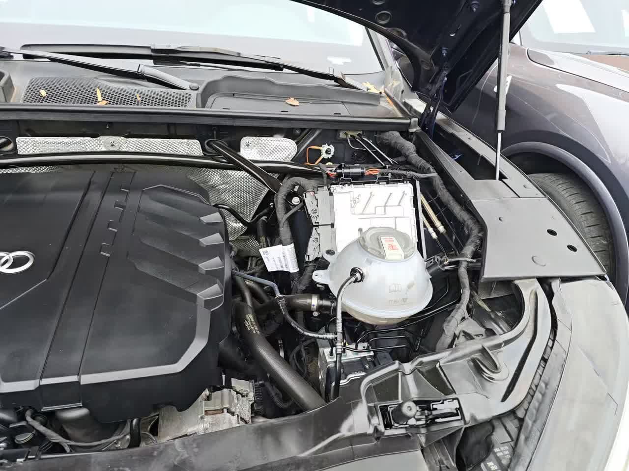 2024 Audi Q5 S line Premium Plus AWD