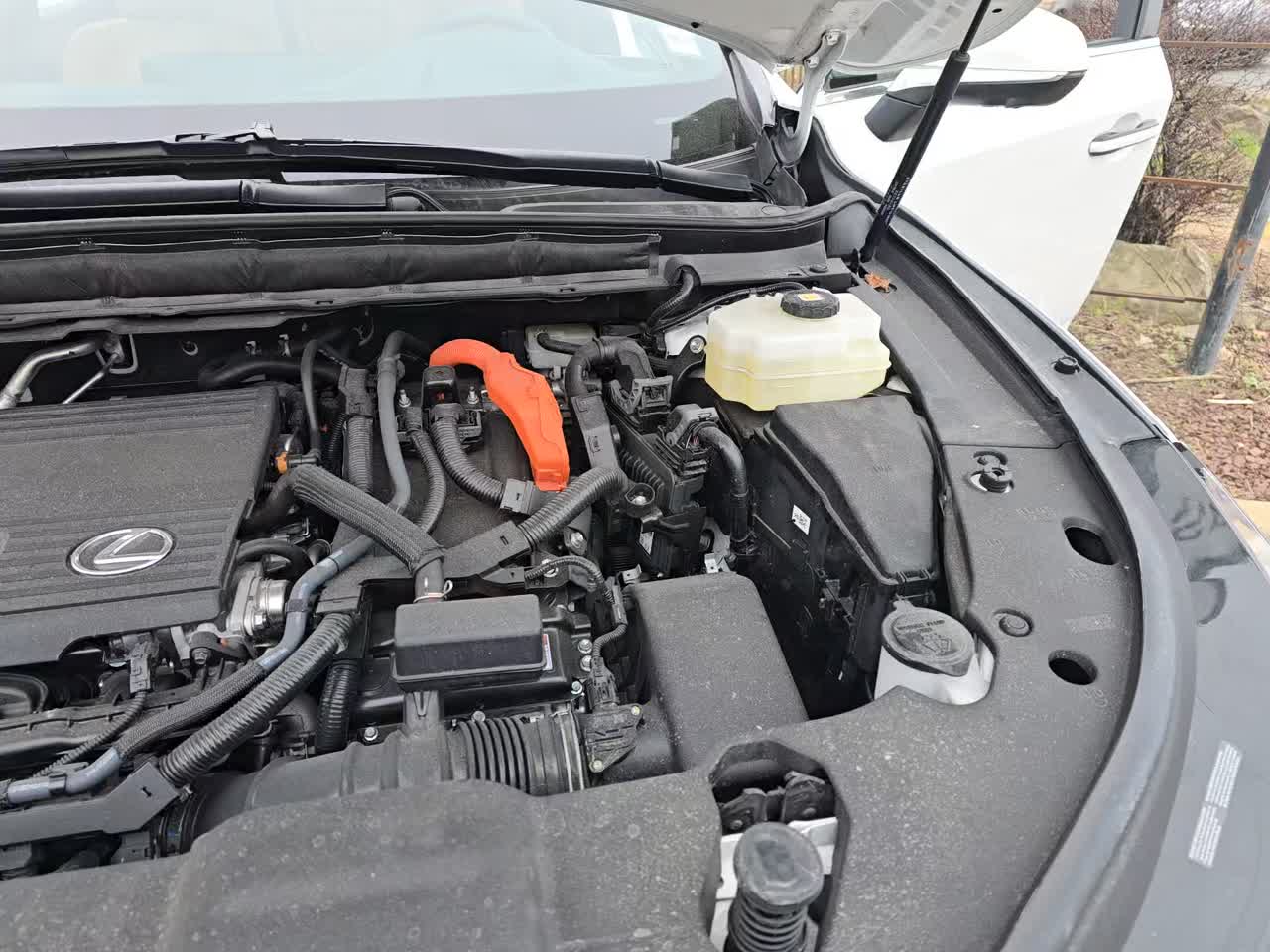 2025 Lexus RX RX 350h Premium Plus AWD