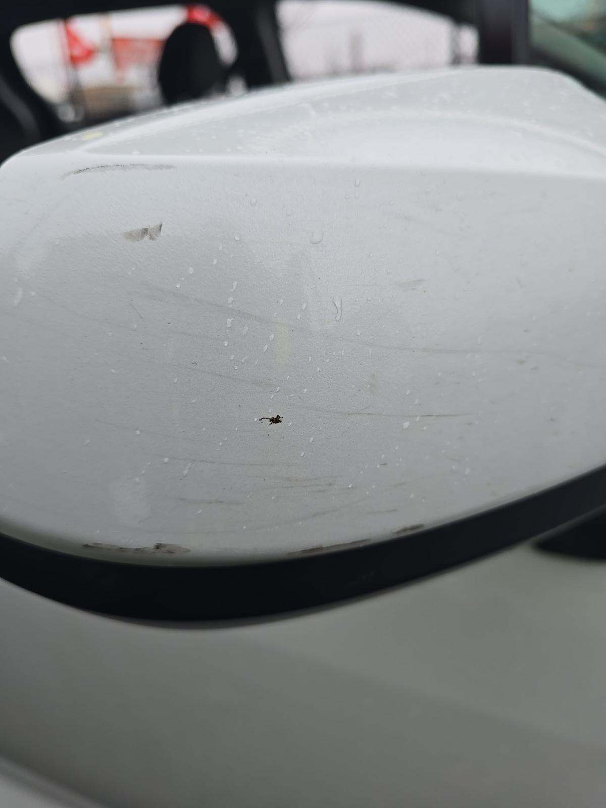 2024 Toyota Sienna XLE FWD