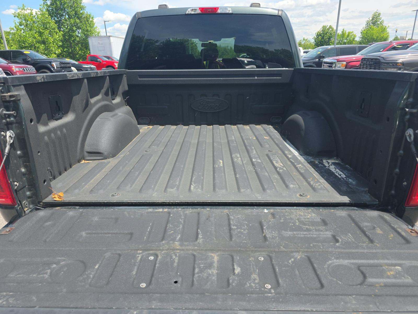 FORD F-150 - 10