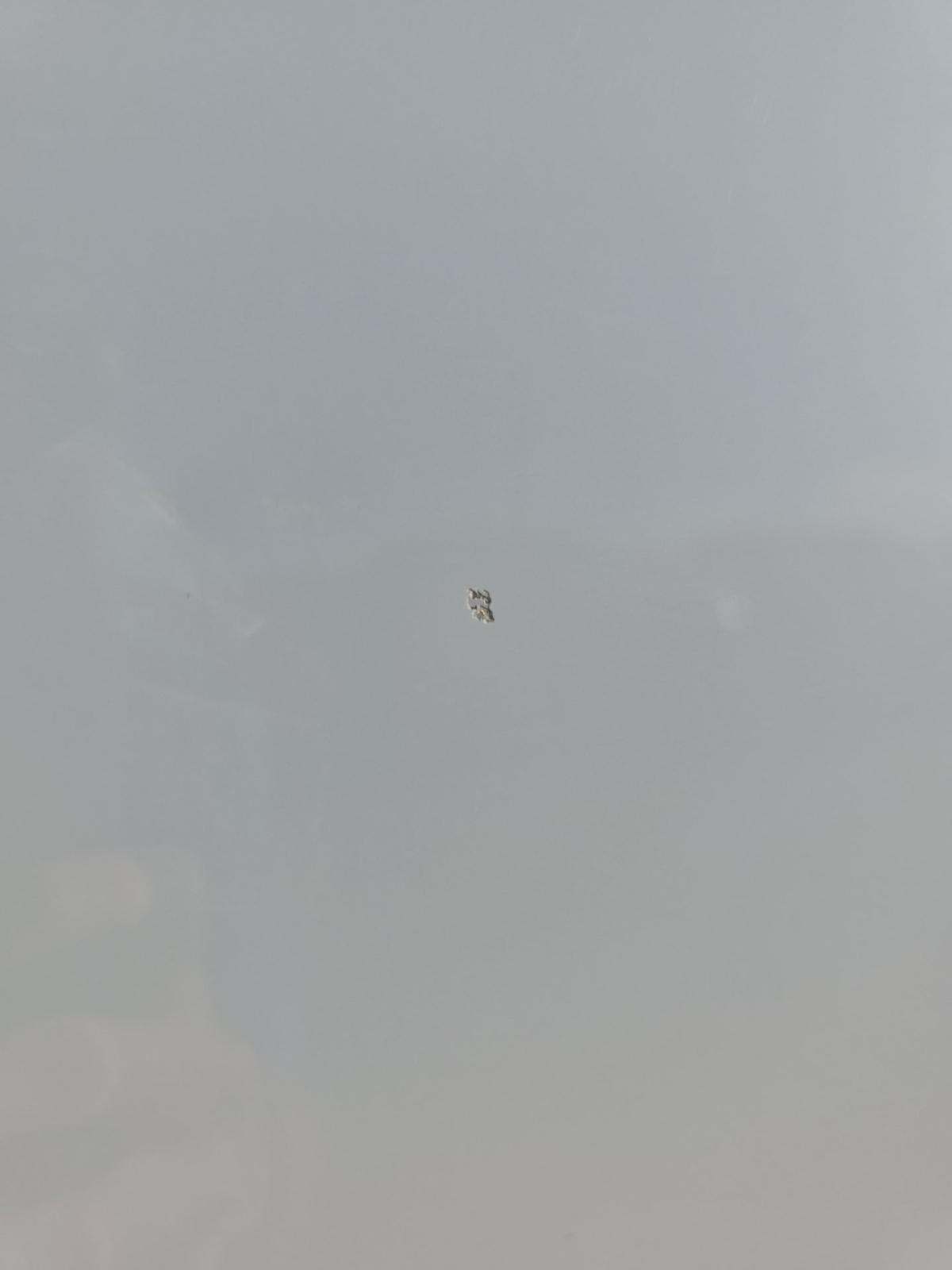 2024 Ford F-150 Hybrid XLT AWD