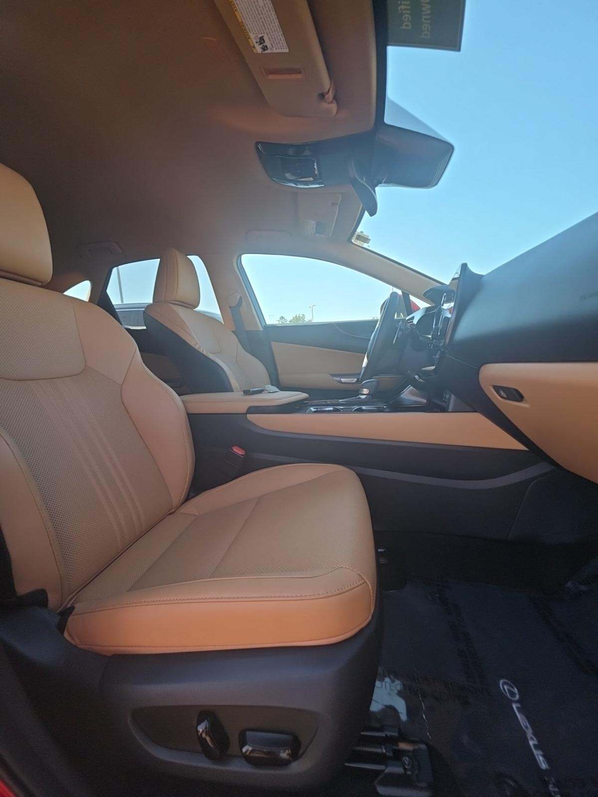 2024 Lexus NX NX 250 FWD