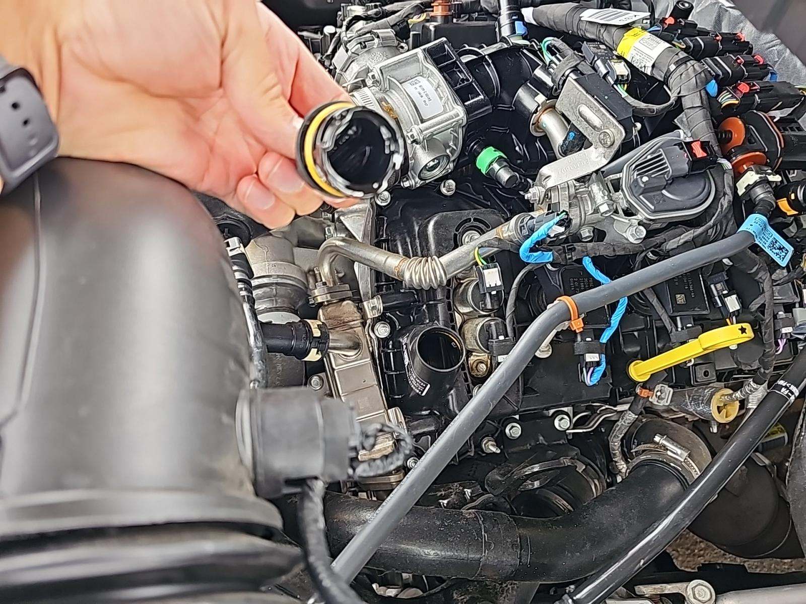 2024 Ford F-150 XLT AWD