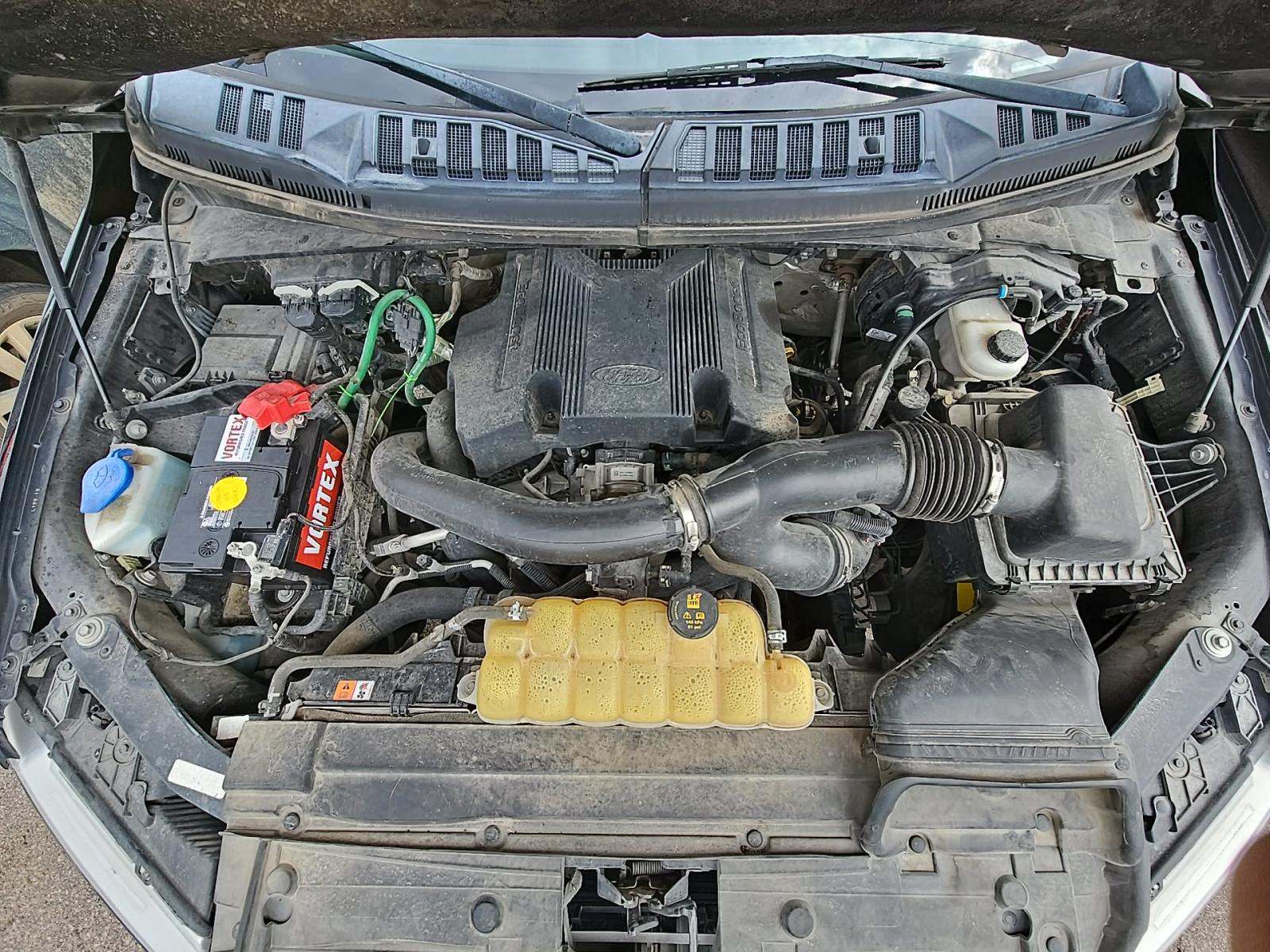 2019 Ford F-150 XLT AWD