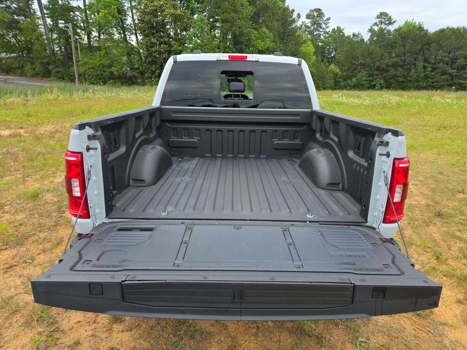 FORD F-150 - 10