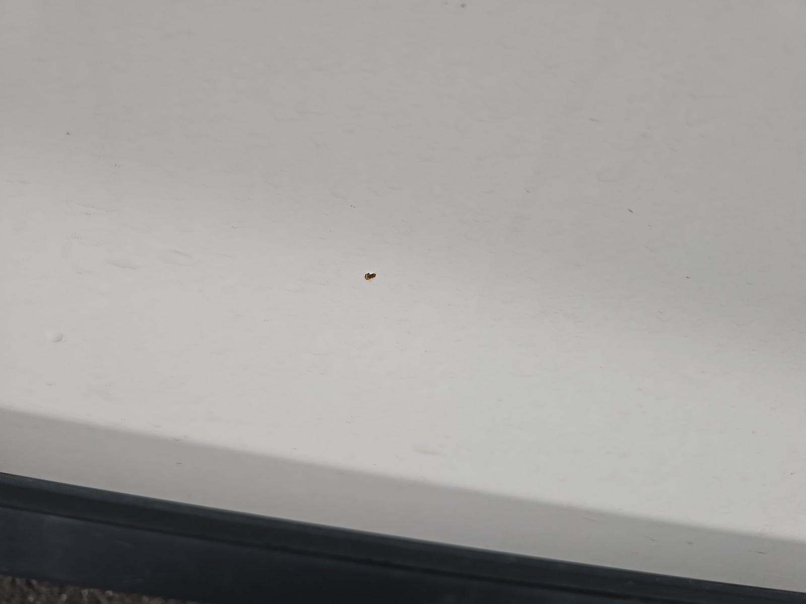 2019 Hyundai Tucson Value FWD