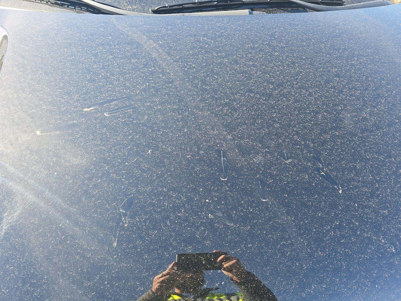 2019 Honda Odyssey EX-L FWD