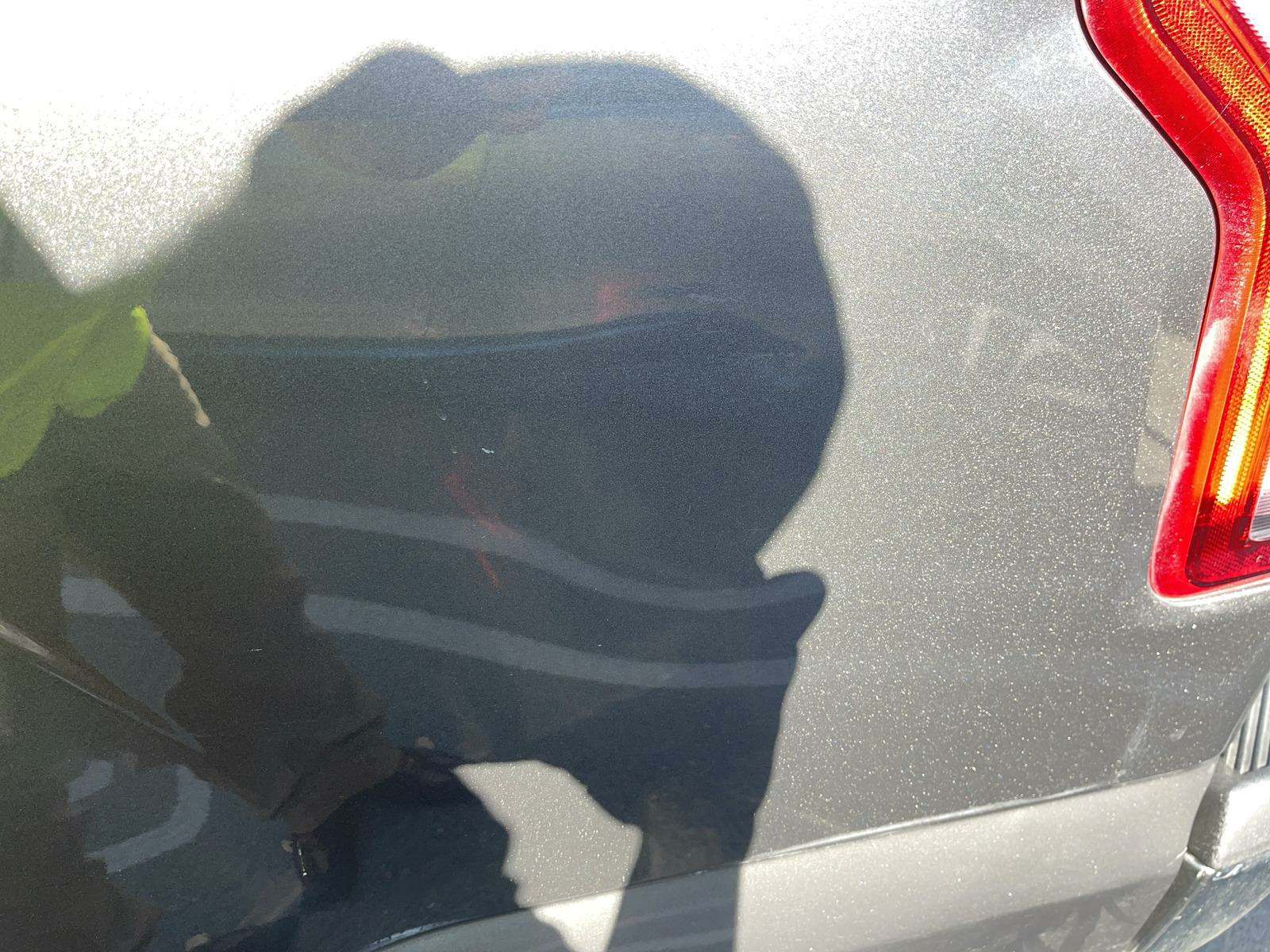 2017 Ford F-150 XLT RWD