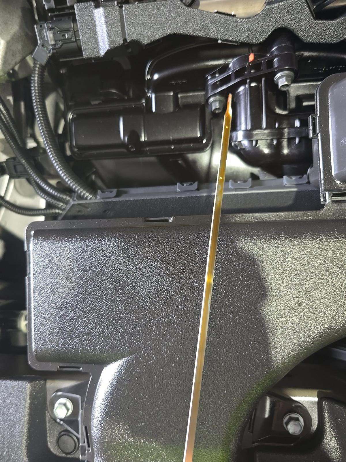 2021 Toyota RAV4 XLE FWD