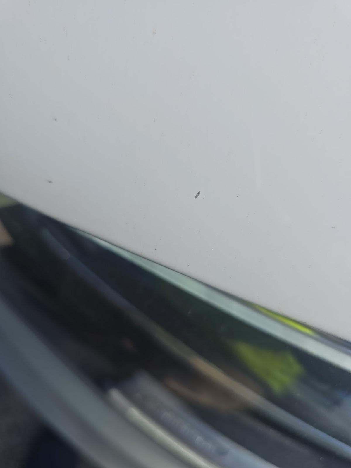 2022 Mercedes-Benz GLC GLC 300 RWD